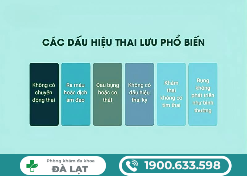 Hình ảnh minh họa